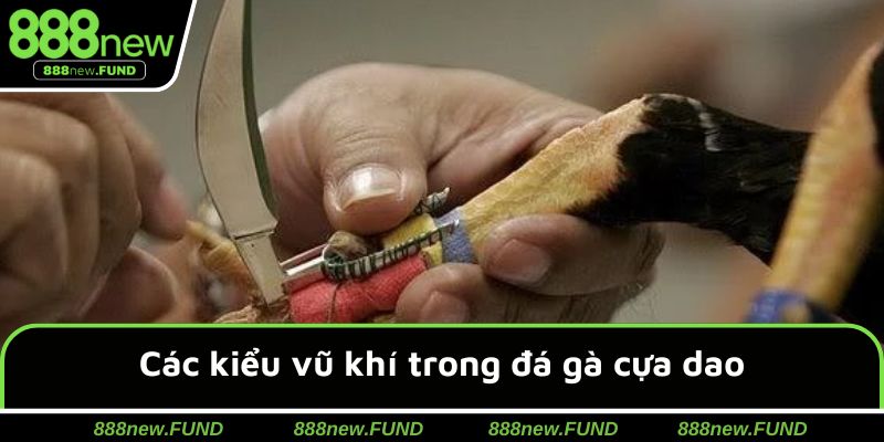 Các kiểu vũ khí trong đá gà cựa dao