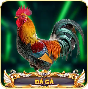 đá gà