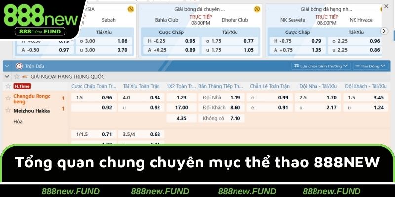 Tổng quan chung chuyên mục thể thao 888NEW